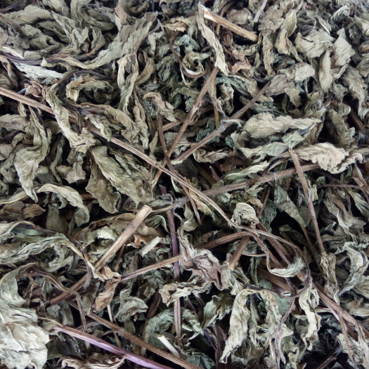 唐河县 薄荷