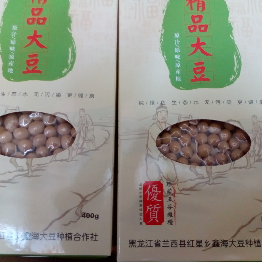 兰西县东北优质高脂肪芽豆 生大豆 1等品
