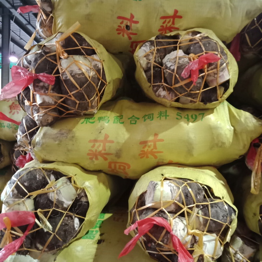 广州粉芋头 4cm以上