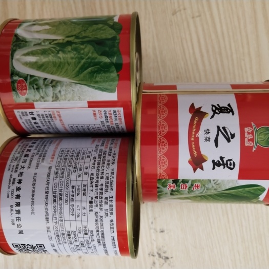 闽侯县小白菜种子 杂交种