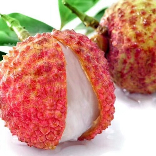 灵山县桂味荔枝  广西桂味
