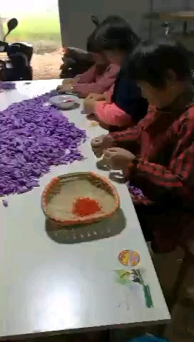 枞阳县藏红花苗 