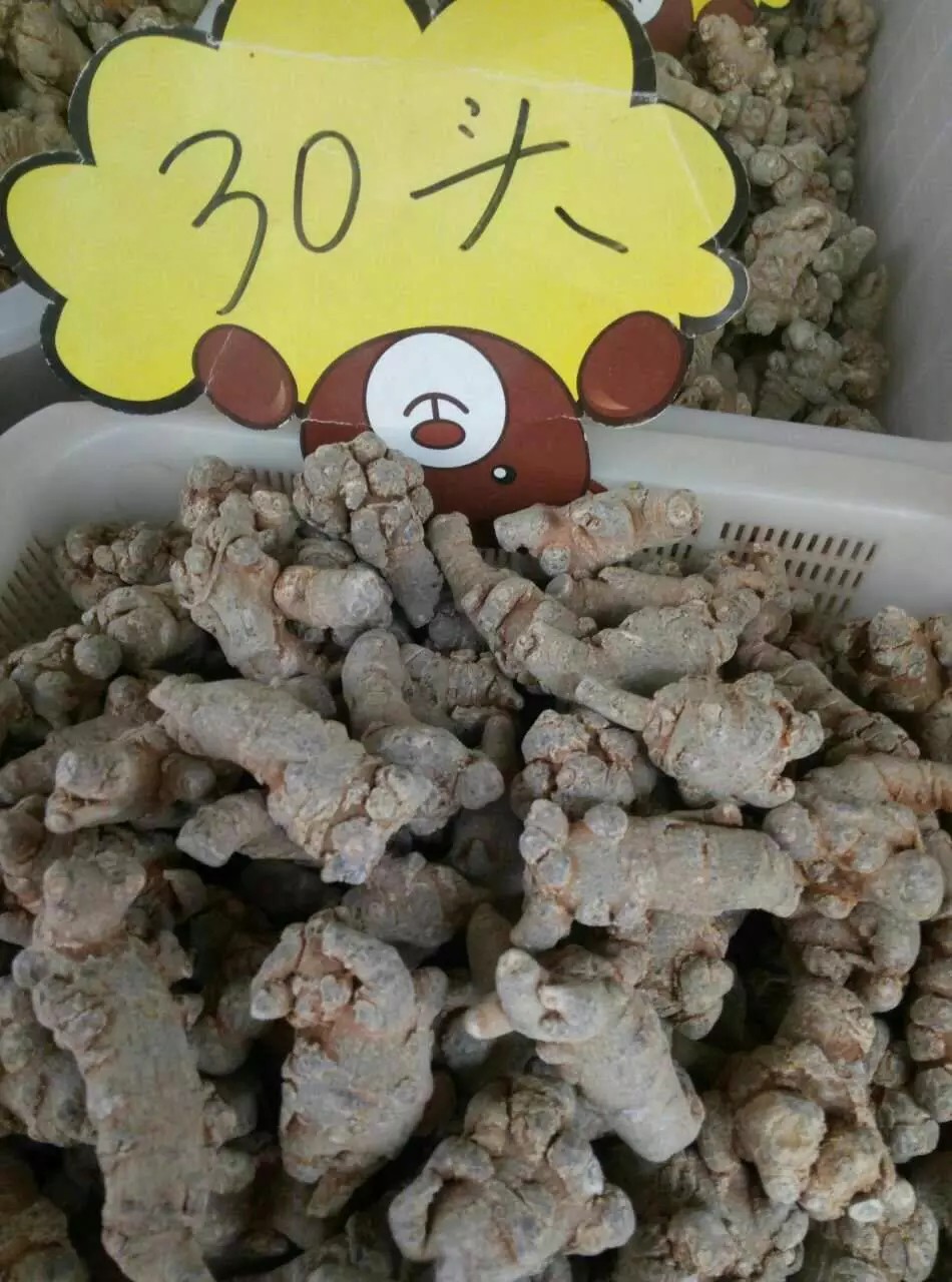 三七