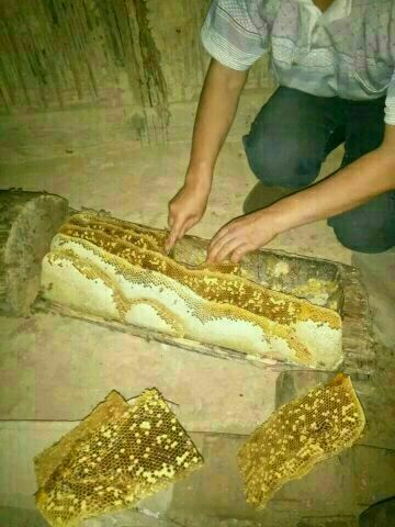 汉中 巴山农家土蜂蜜，品质好，口感好。来自1500米巴山深处蜜源