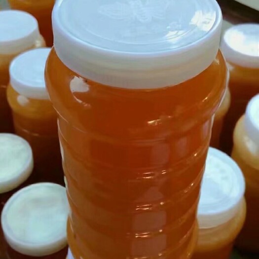 西安百花蜜 塑料瓶装 98% 2年 
