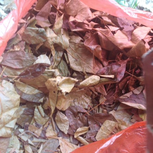湖北襄阳南漳县散装三皮罐花草茶食品经营许可证产品
