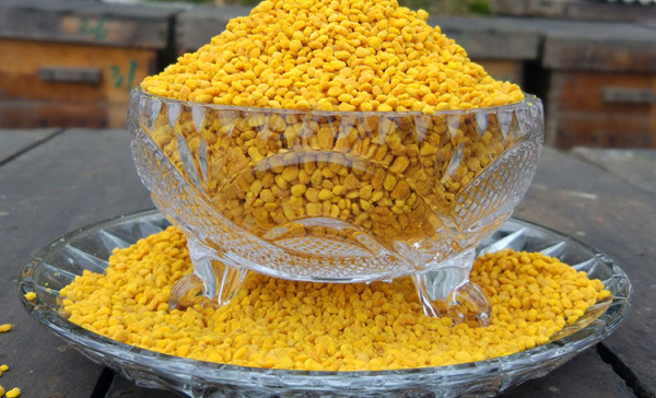 荷花粉  蜂花粉未破壁新鮮味道純正每瓶500克袋裝批零代發(fā)，