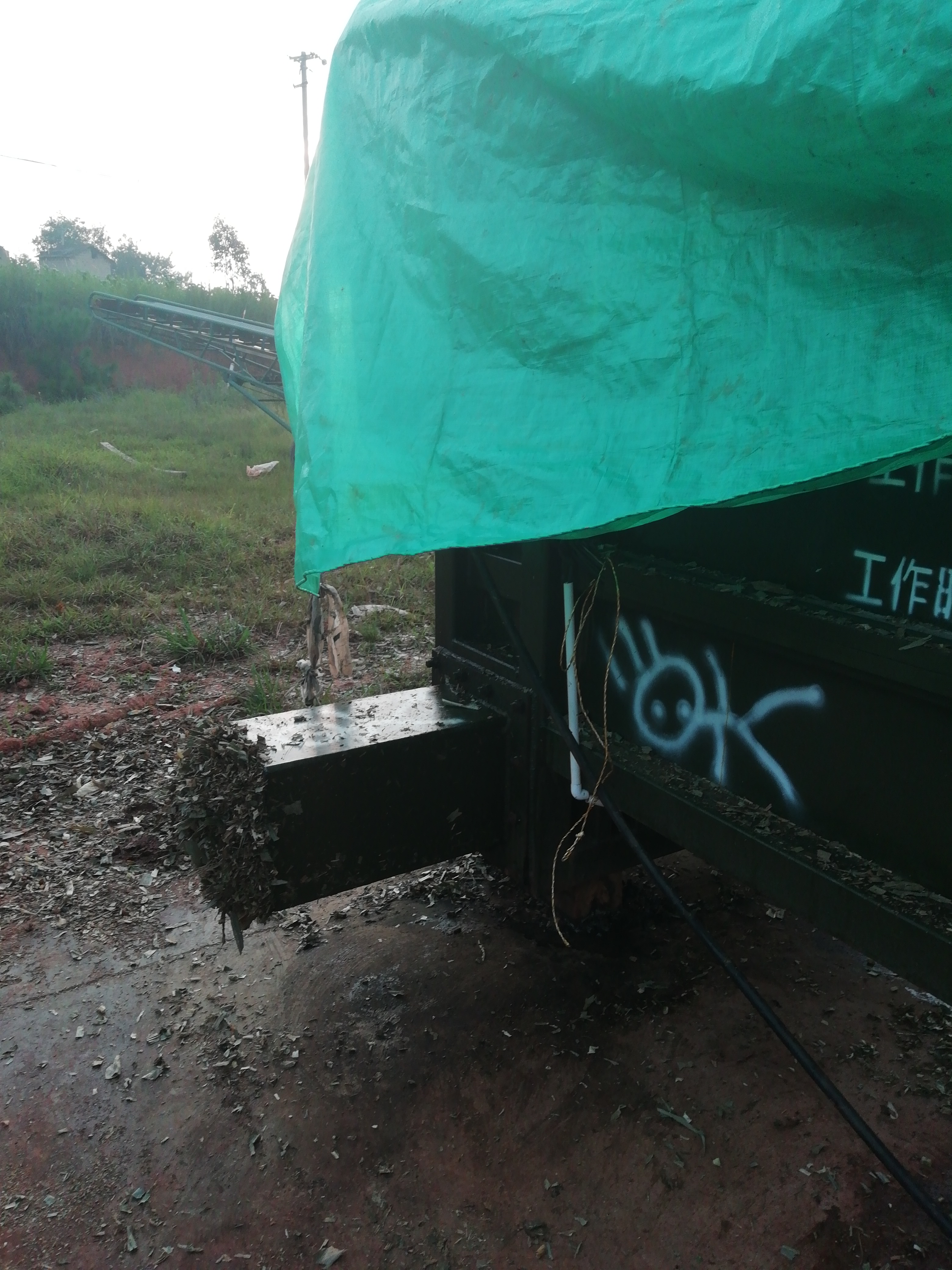 青贮类饲料 2020年青储开始生产了，朋友们抓紧时间下单，质量保全株青储