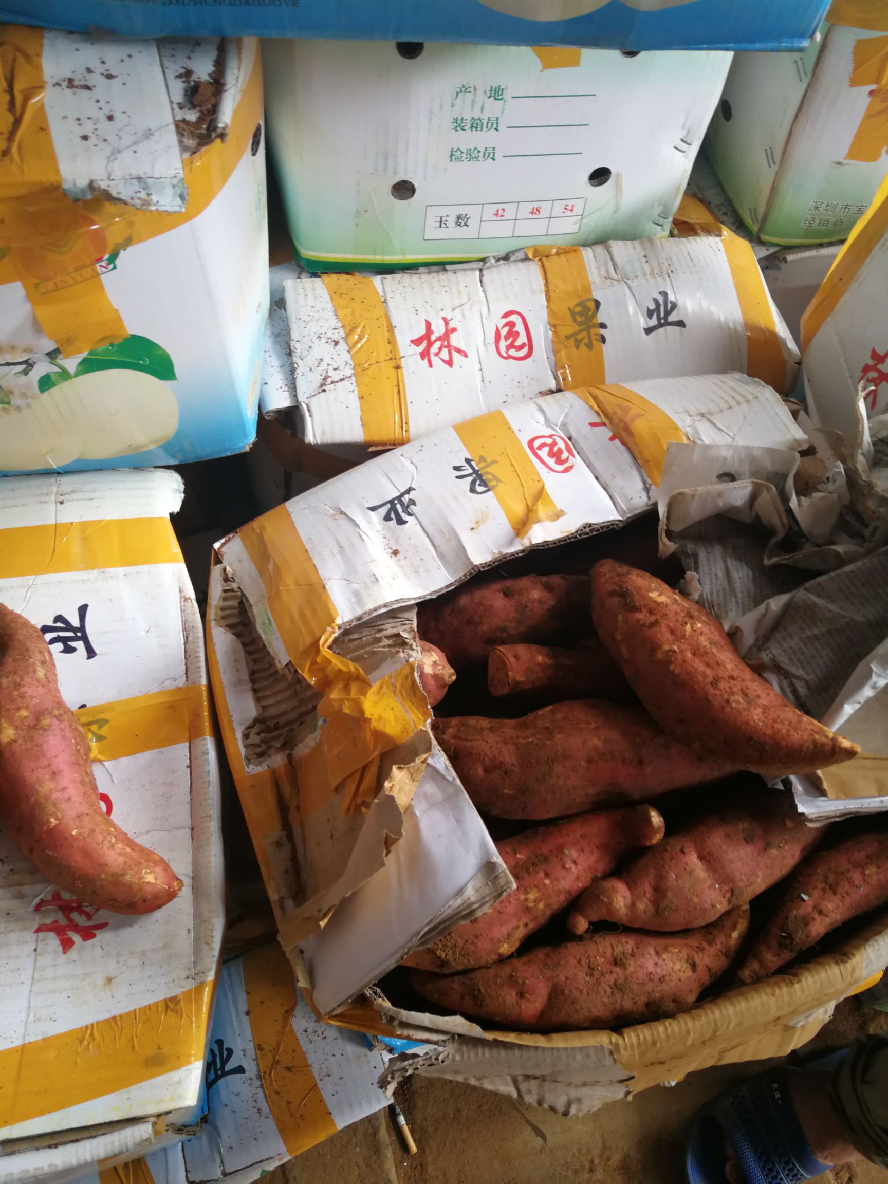 产区,种植基地介绍: 湖北省松滋市八宝镇红薯种植基地位于群星村著名
