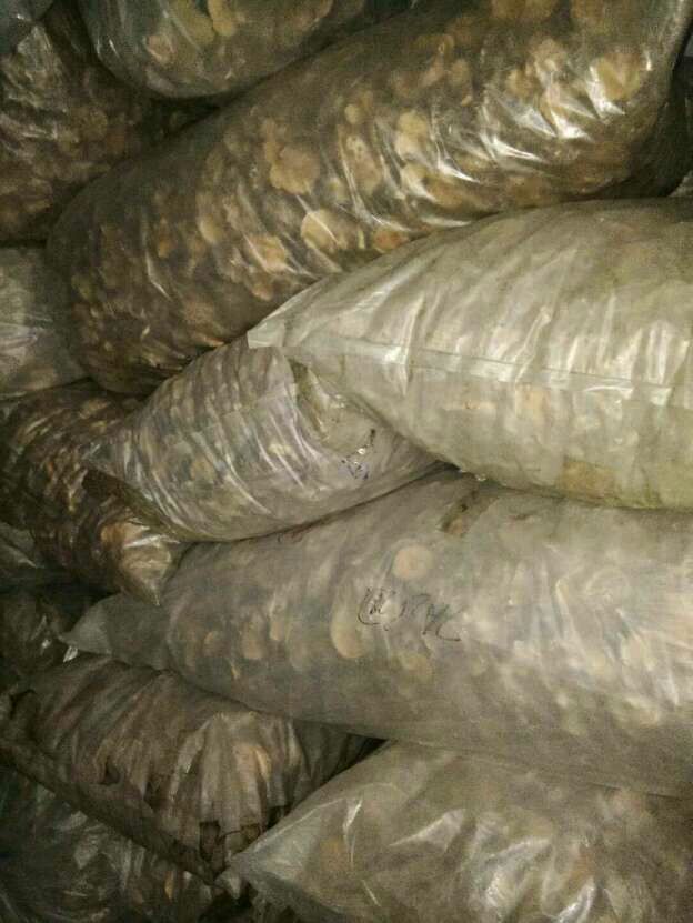 大片香菇产地直销一手货源3--6cm大片菇