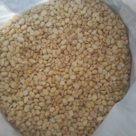 天津崇礼蚕豆瓣