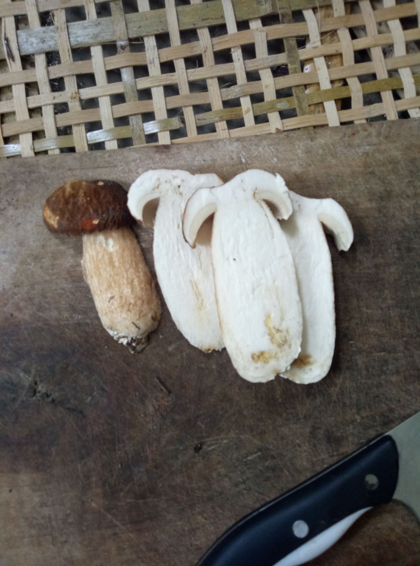 美味牛肝菌干货