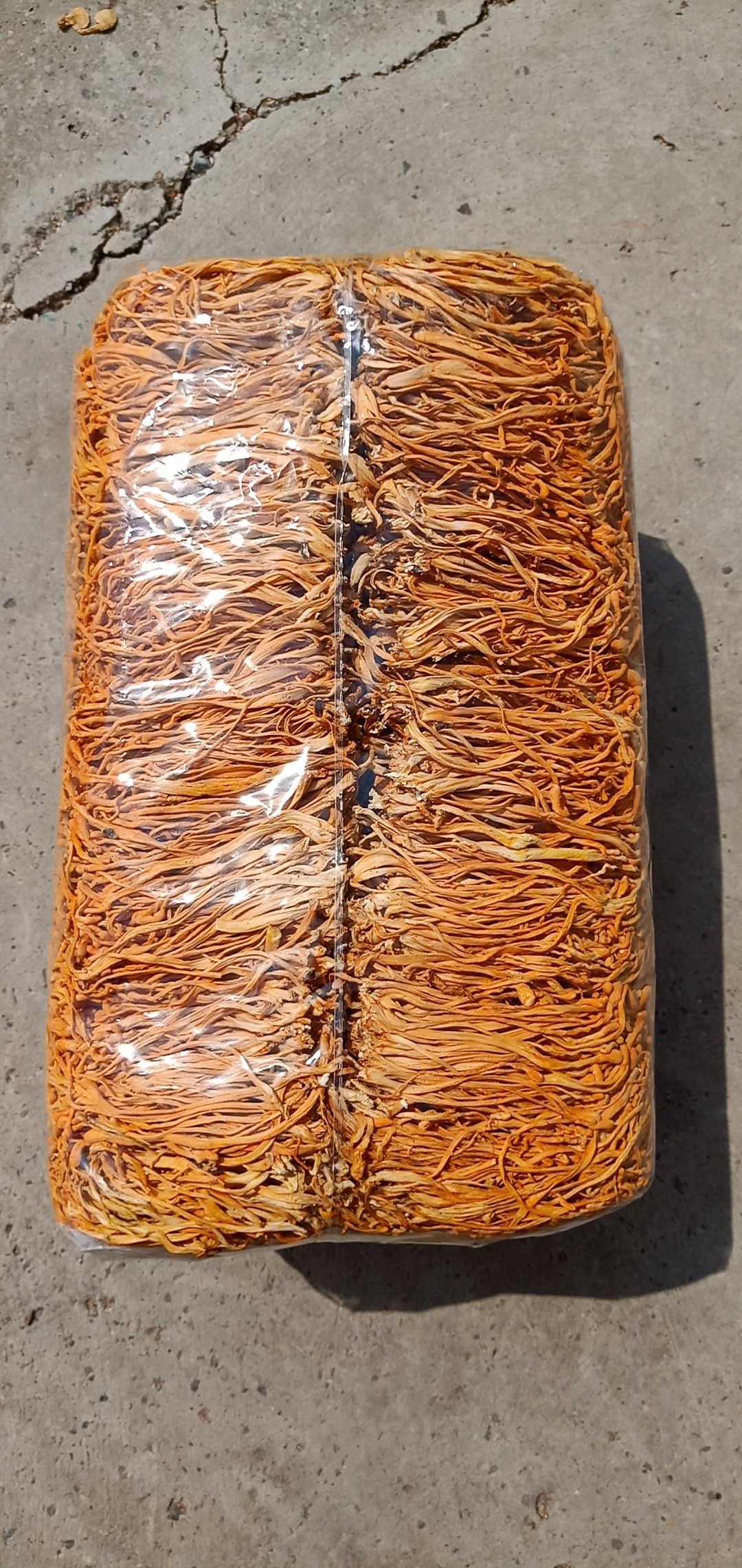 人工培植虫草花