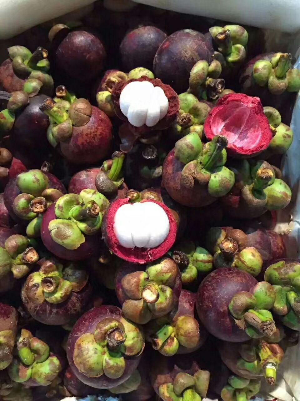 沙竹山竹 2 - 3两以上