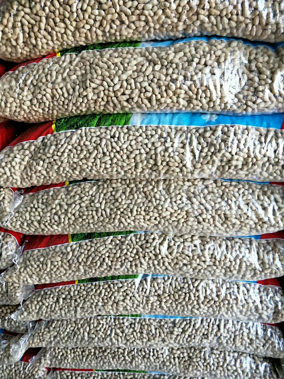 小日本花生 干货 带壳花生 