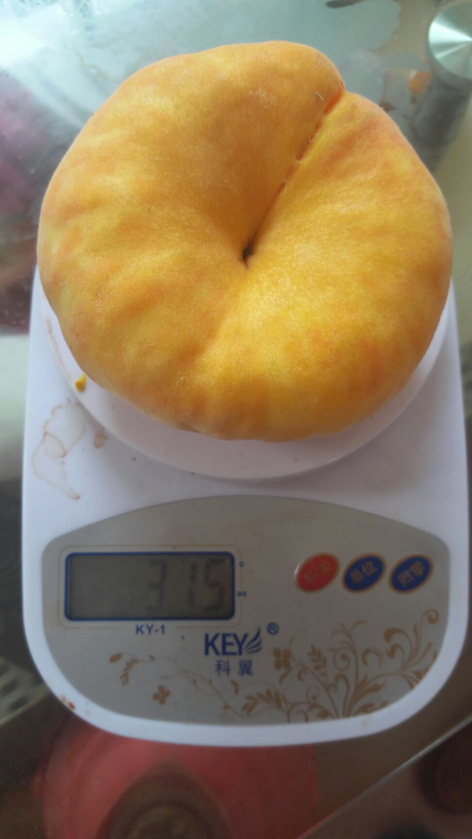 中蟠11号桃树苗 1~1.5米