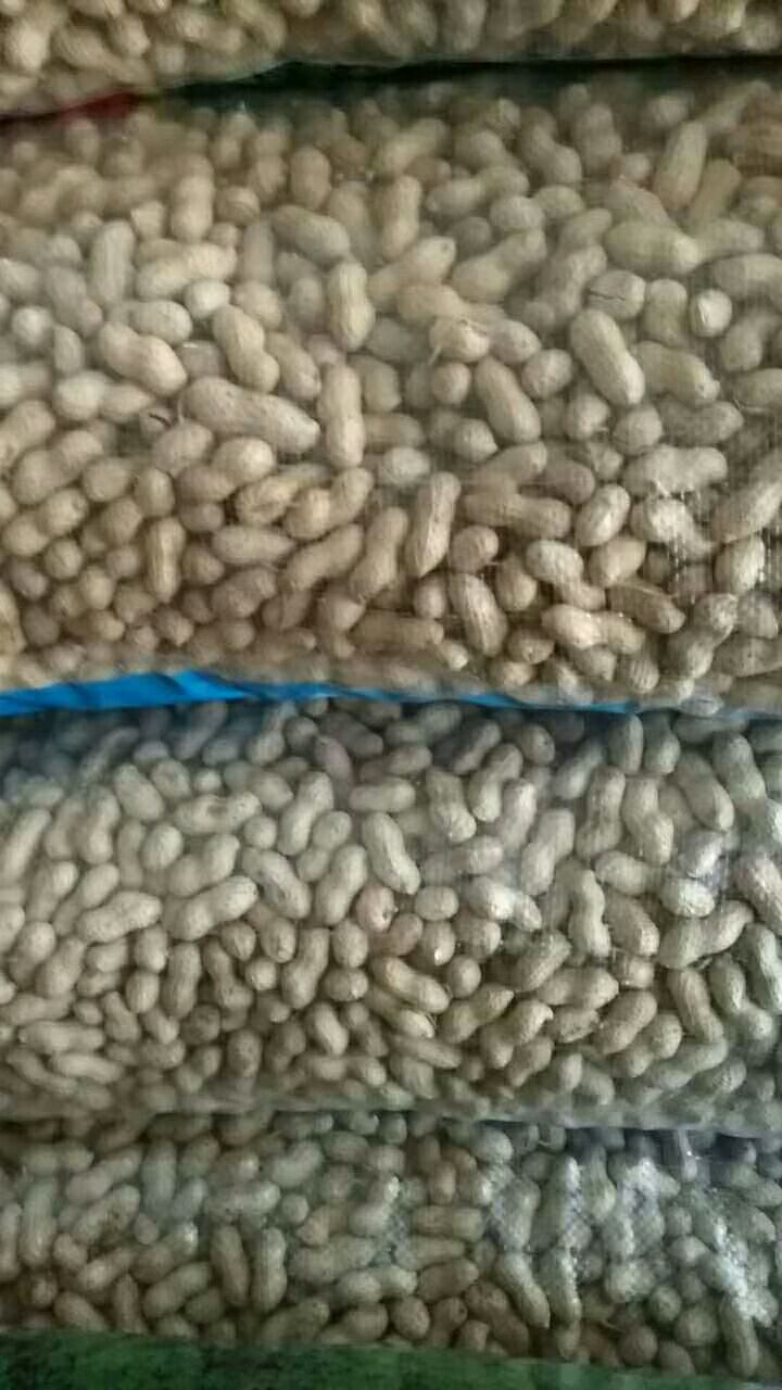 小日本花生 干货 带壳花生 