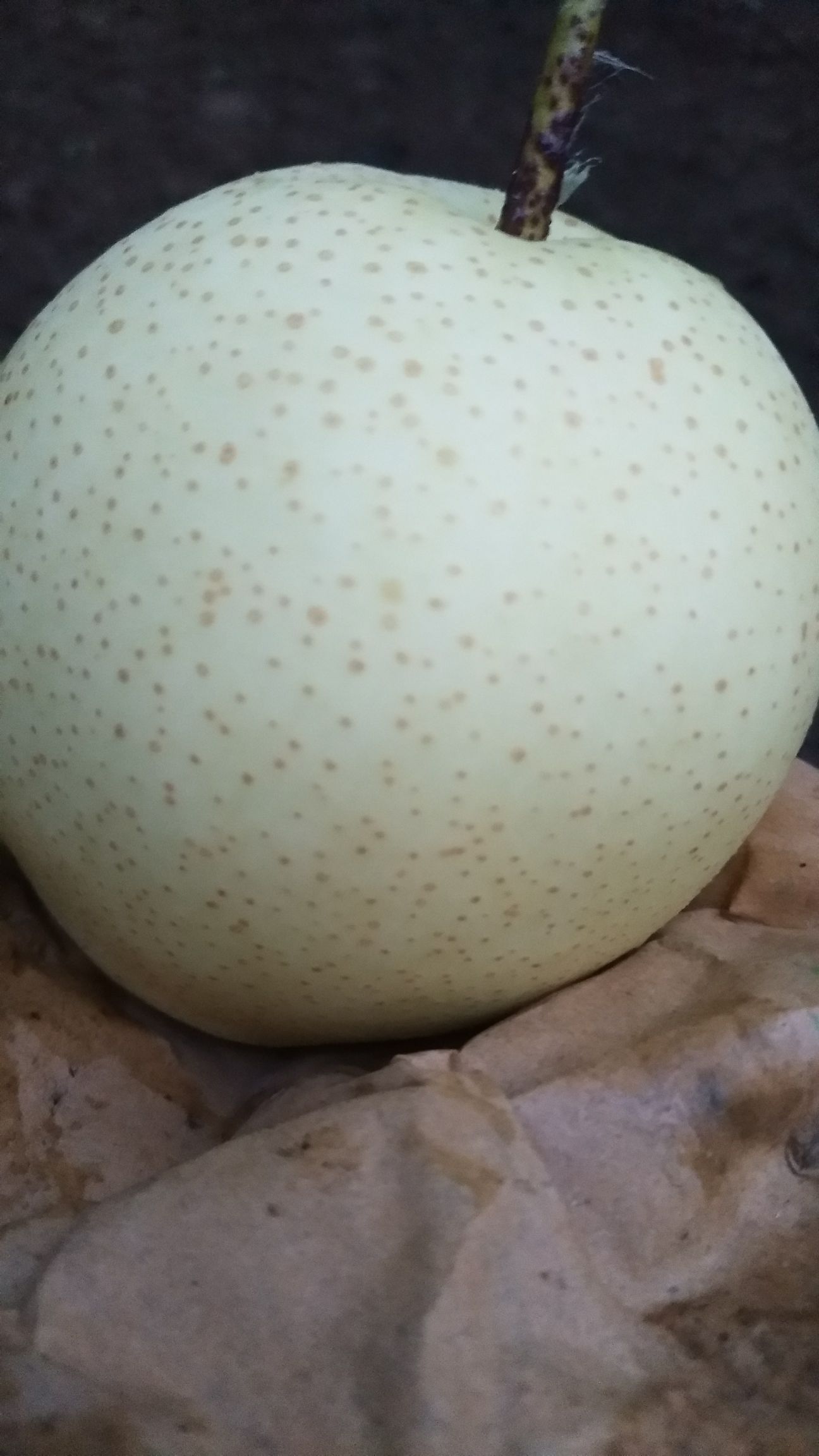 黄冠梨，安徽白黄冠梨，圆黄梨，代发全国。