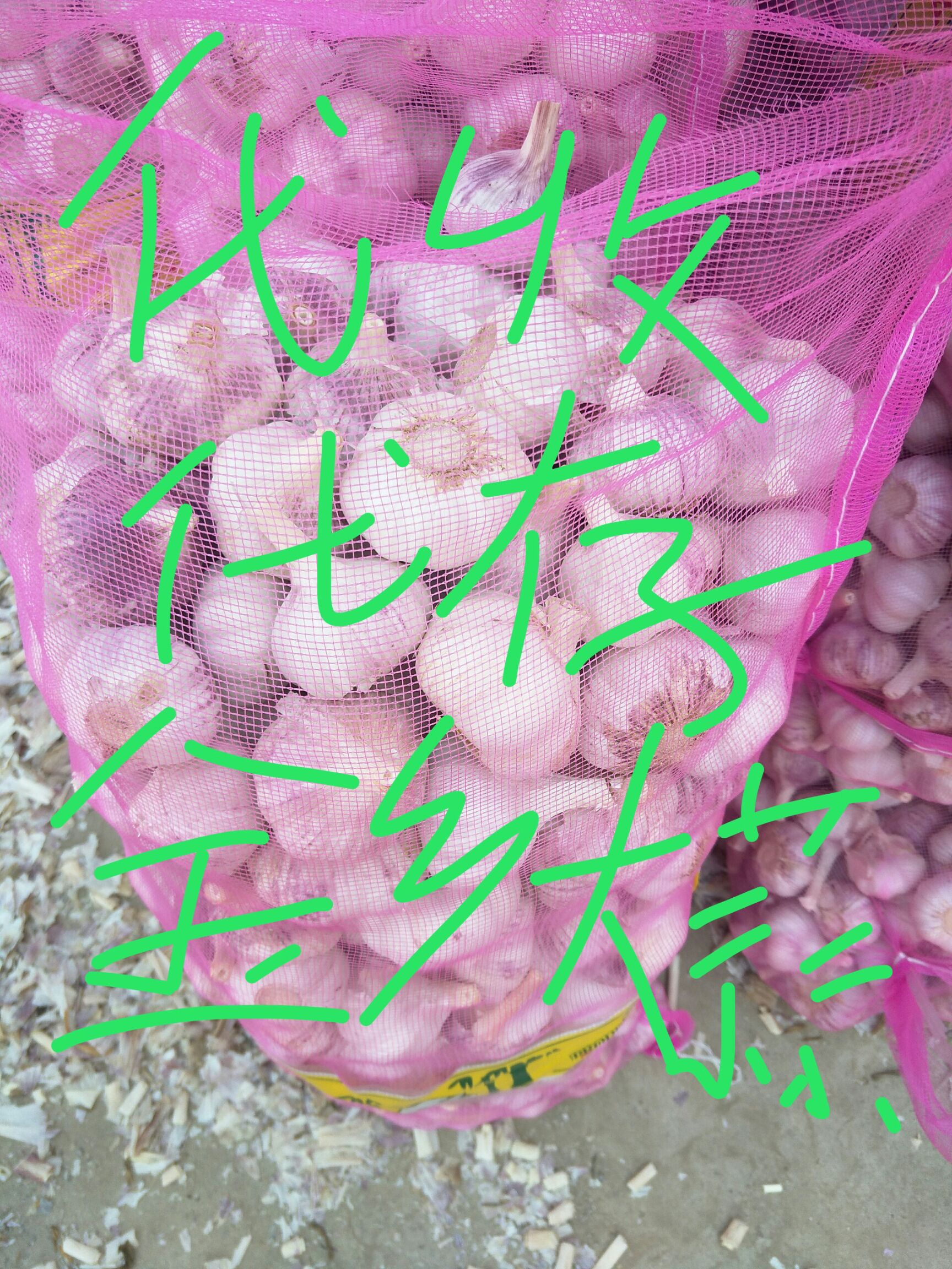  金乡大蒜，专业储存！代收代发全国各地市场