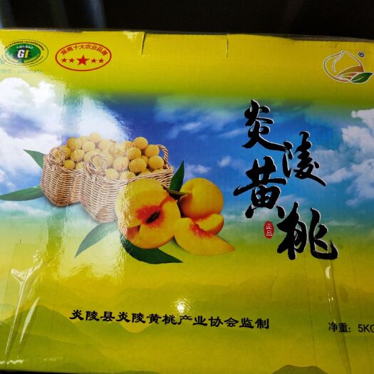 炎陵县炎陵黄桃 55mm以上 3 - 4两