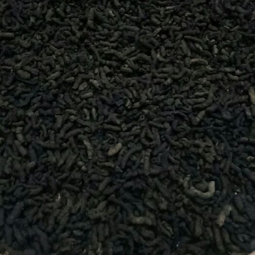郁南县鲜巴戟