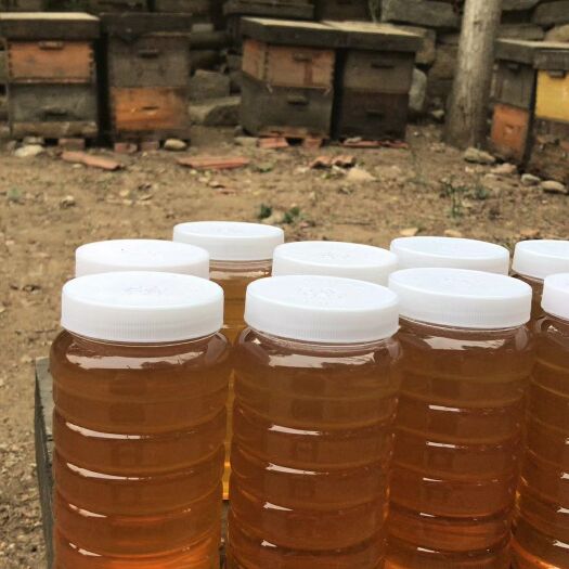 平邑县土蜂蜜 塑料瓶装 98% 2年 