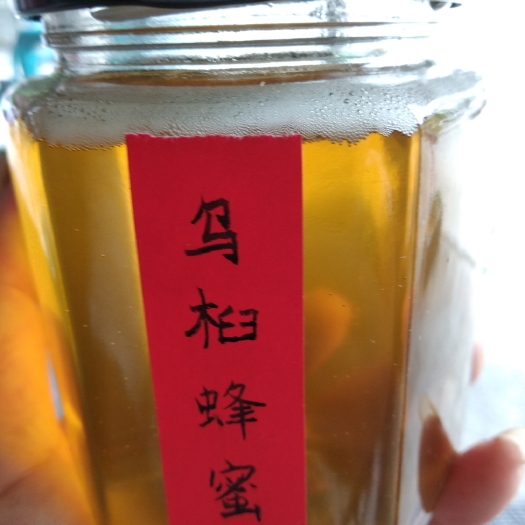 阳朔县土蜂蜜 塑料瓶装 95%以上 2年