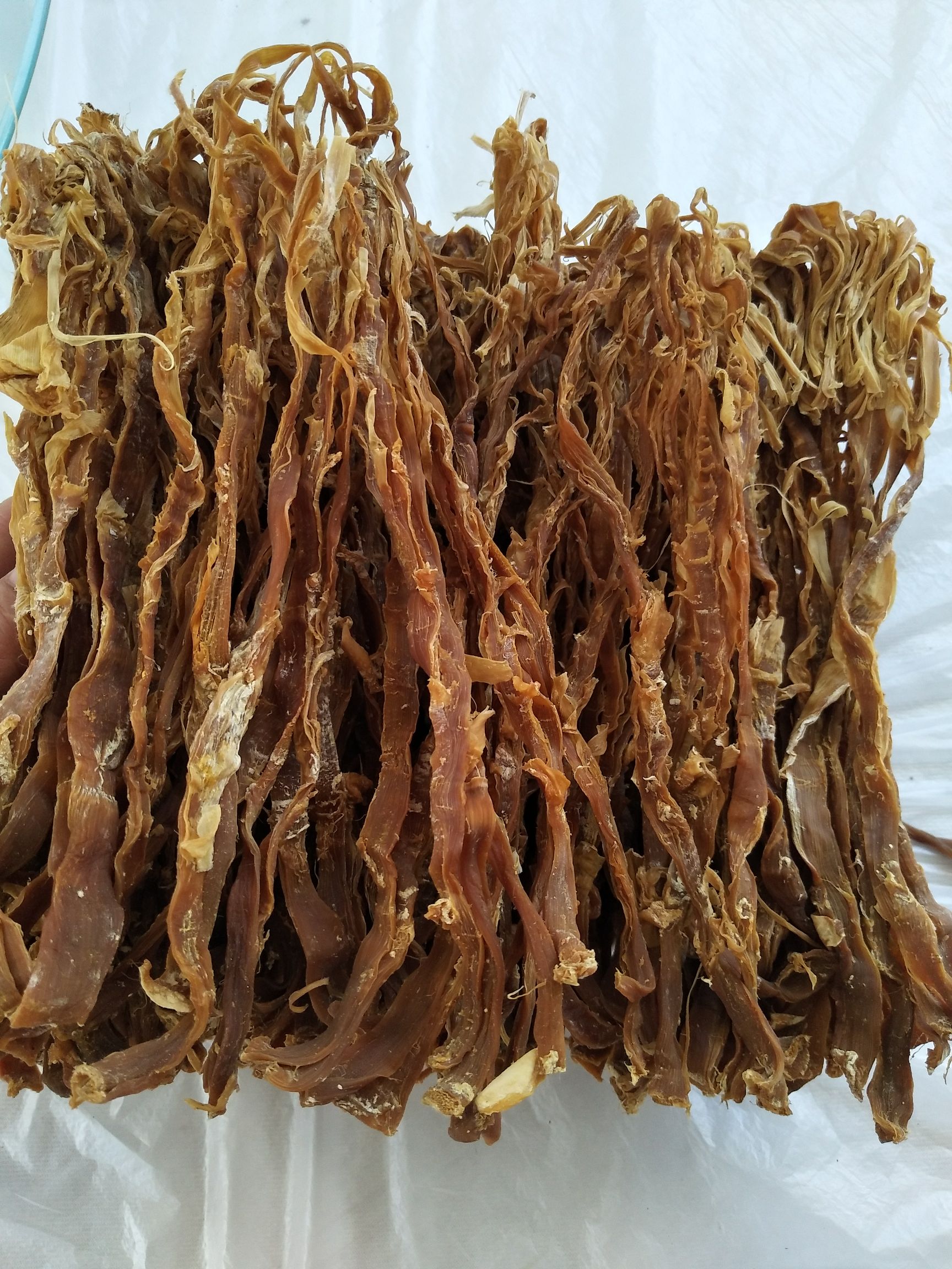 笋花散装1年以上