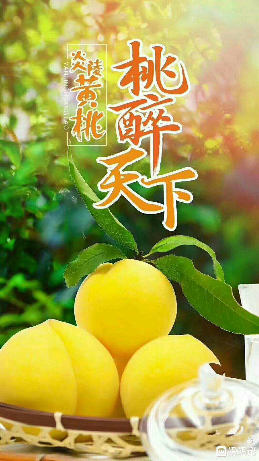炎陵黄桃 60mm以上 4两以上