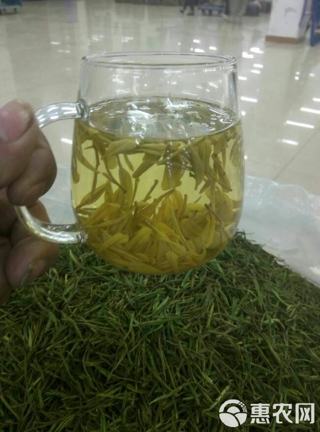 新白茶  黄金芽 精品春芽