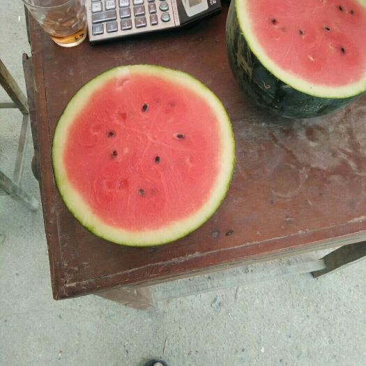 太康县 河南周口西瓜基地