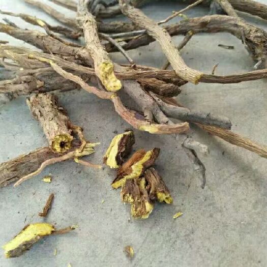 黄芩 甘肃黄芩批发含量高质量保证大黄芩