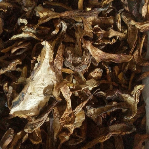 宁强县黄牛肝菌 1.0% 一级