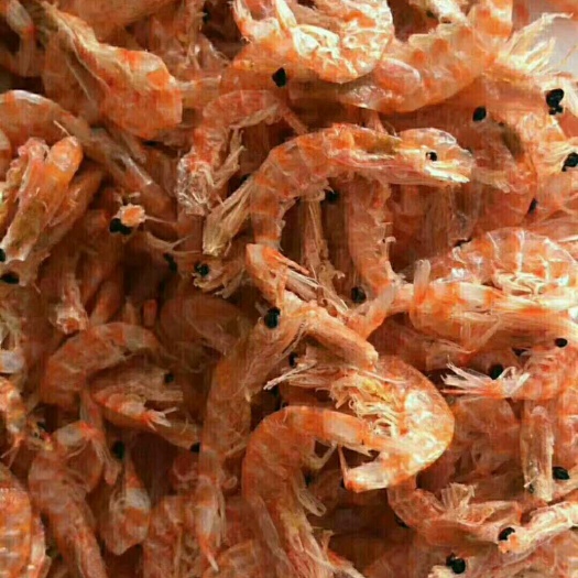 滨州南极磷虾 