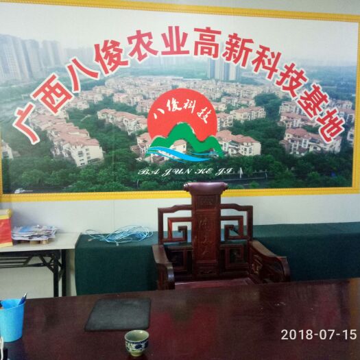 梧州禽畜饲料 