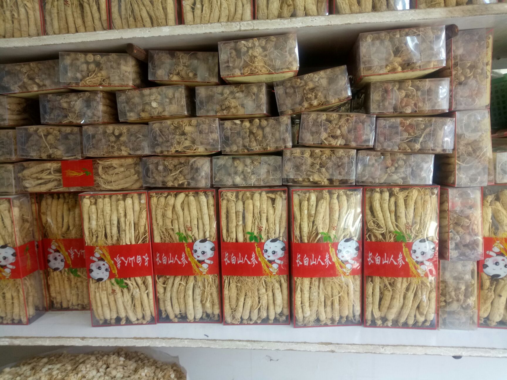 干货人参 个子  泡酒煲汤