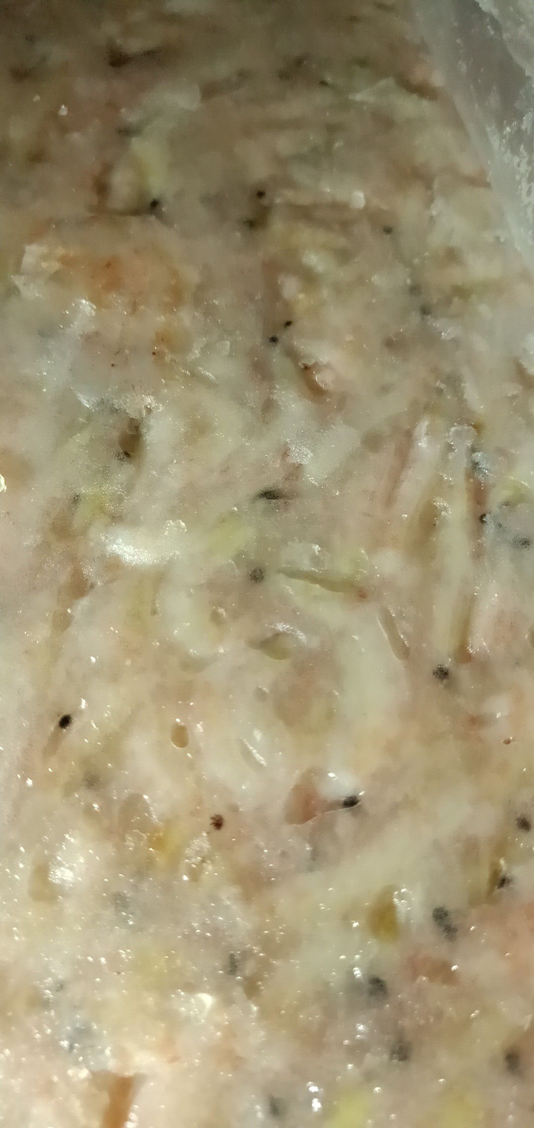 南极磷虾