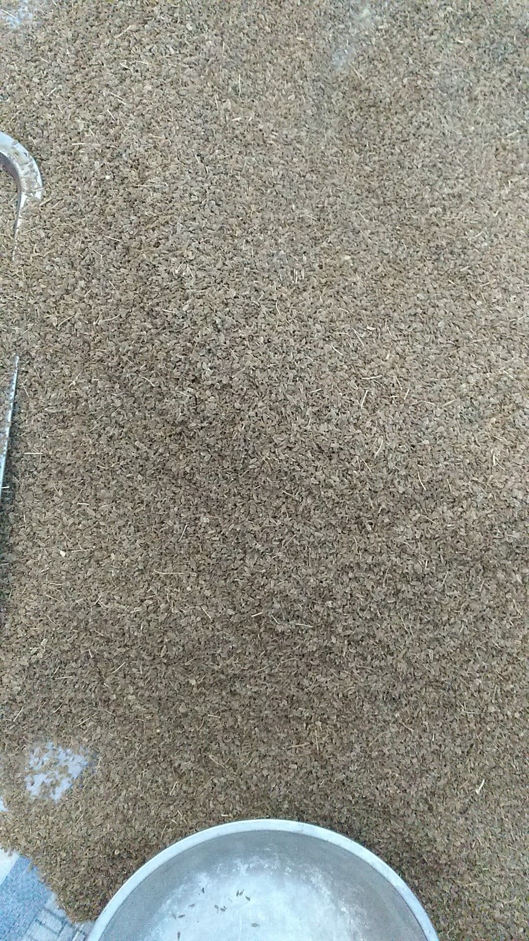  优良三红胡萝卜种子～