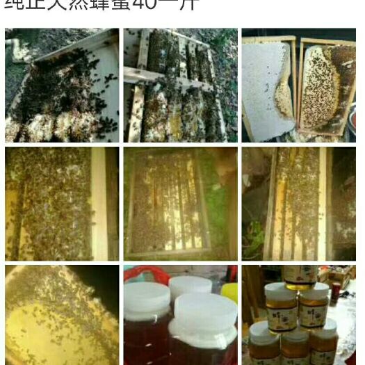 清远 新一波来啦[玫瑰]自养自卖天然蜂蜜糖[呲牙]欢迎购买[爱心