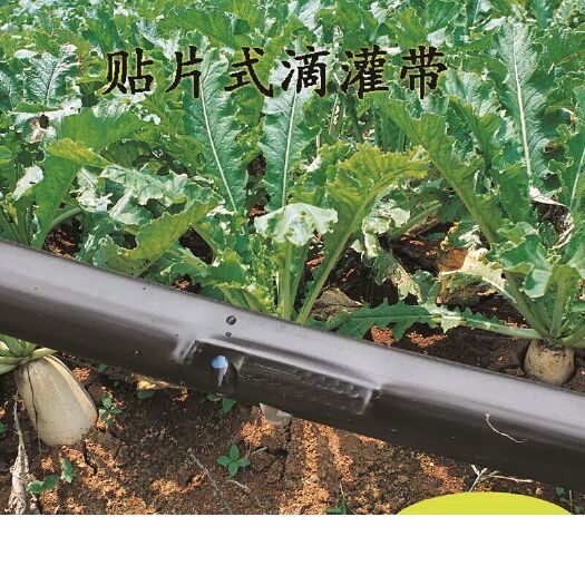 郓城县贴片式滴灌带 