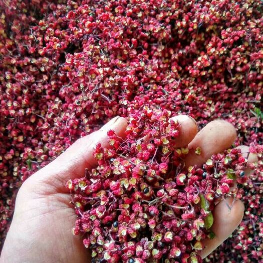 汉源县汉源花椒（贡椒） 干花椒 一级  汉源花椒（贡椒） 干花椒