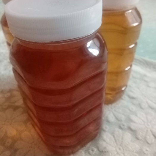 凌源市荆花蜜 塑料瓶装 2年   荆条蜜