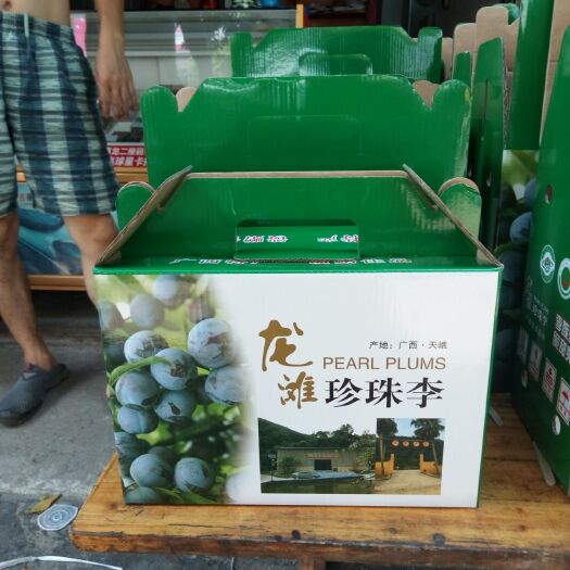 东兰县李子  李族皇后 龙滩珍珠李