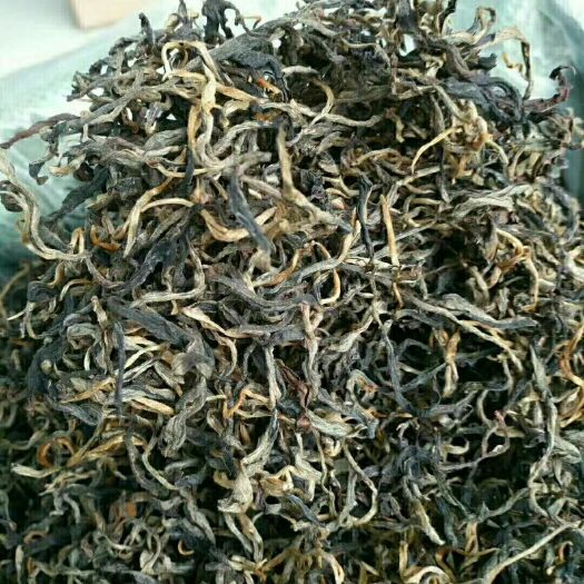 景洪市古树红茶 散装 一级 