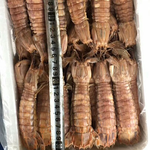 滨州皮皮虾