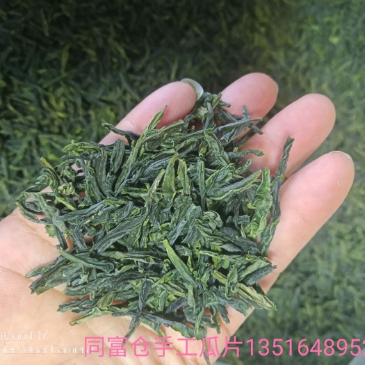 六安六安瓜片 散装 一级