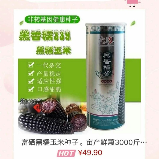 海口玉米种子 