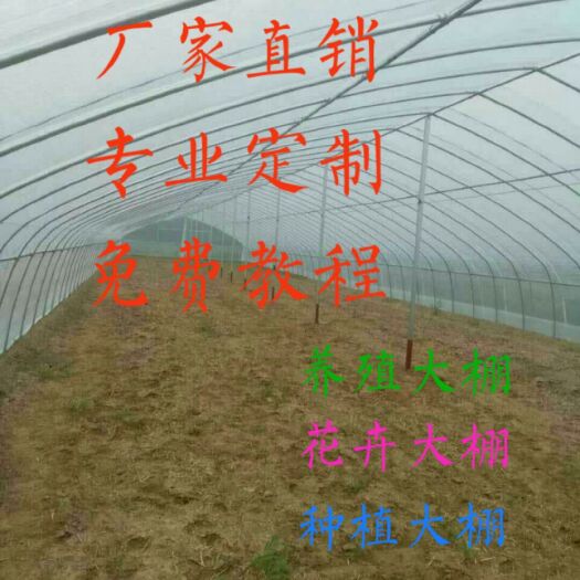 沭阳县单体棚