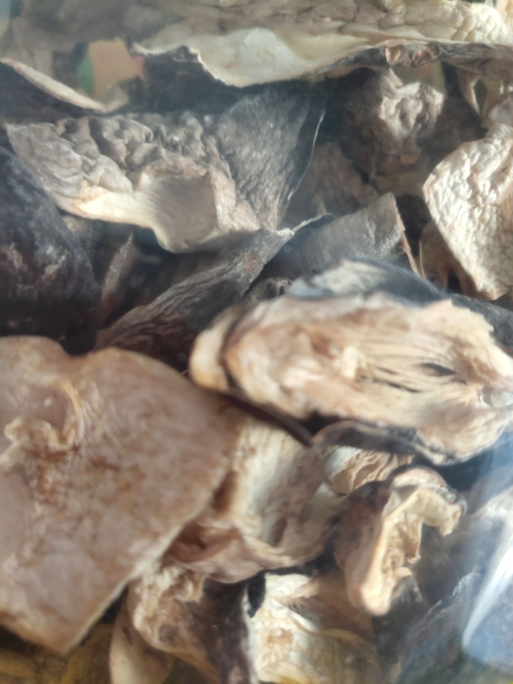 干草菇 散装 1年以上 