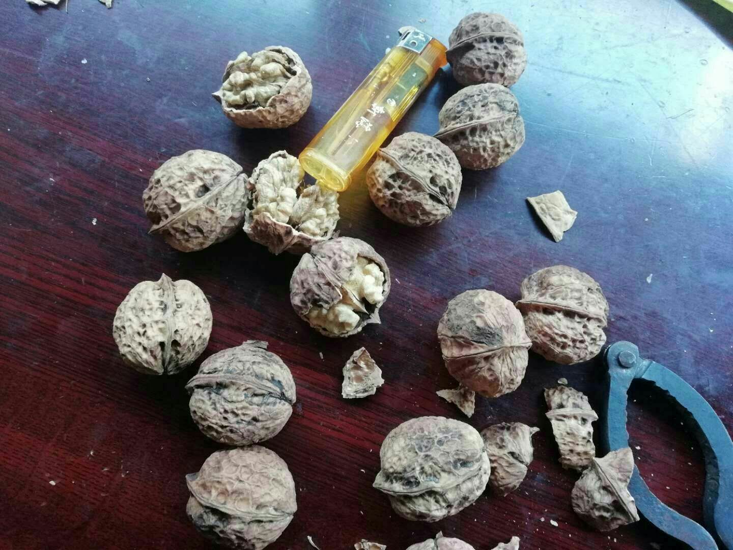 薄皮核桃